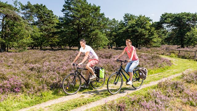 Radfahren, Wandern und Relaxen - Kurzurlaub Lüneburger Heide