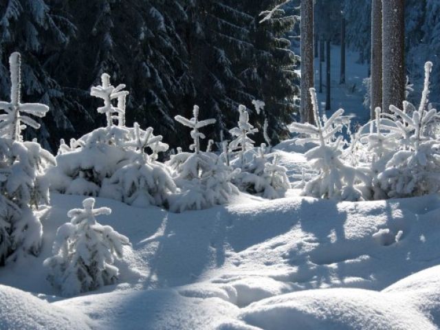 Schneegestöber Oberhof - Kurzurlaub Thüringer Wald