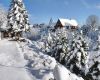 Winterlandschaft in der Sächsischen Schweiz