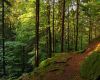 Urlaubsregion Thüringer Wald