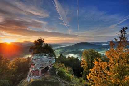 Drachenfels Pfalz