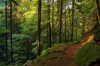 Urlaubsregion Thüringer Wald