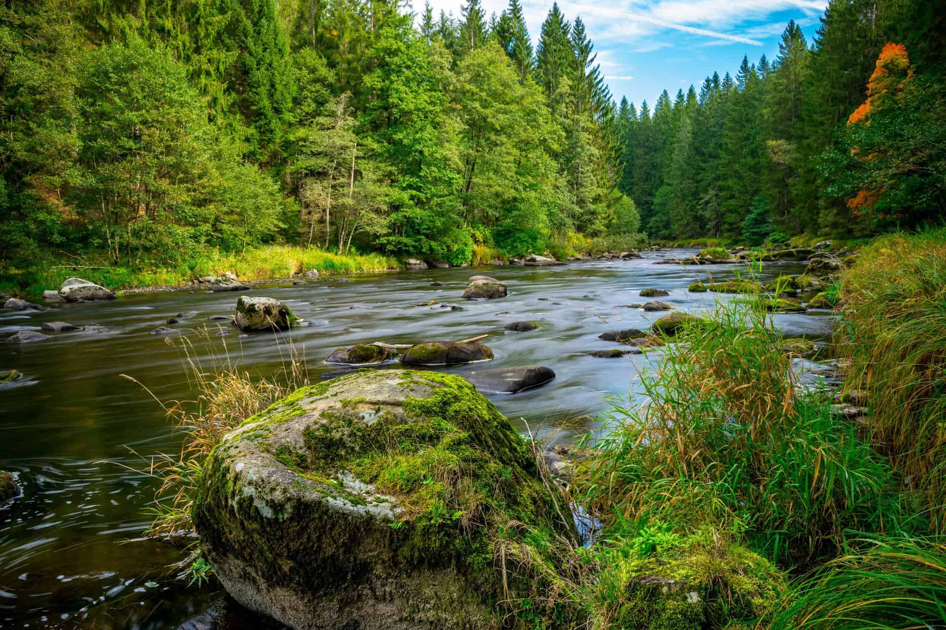 Urlaub im Bayerischen Wald