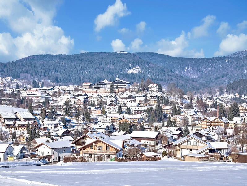 Bayerischer Wald Bodenmais im Winter