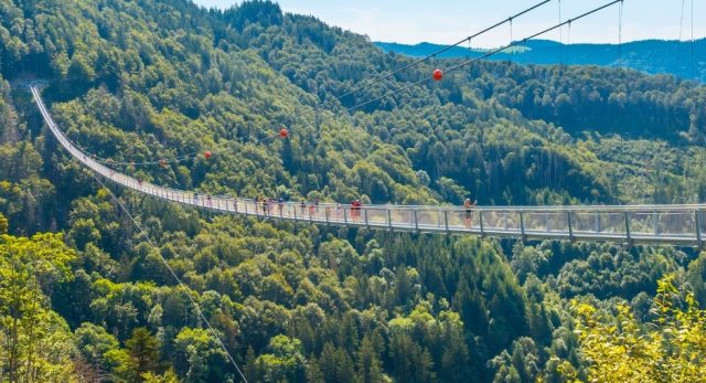 Blackforestline Hängebrücke Todtnau