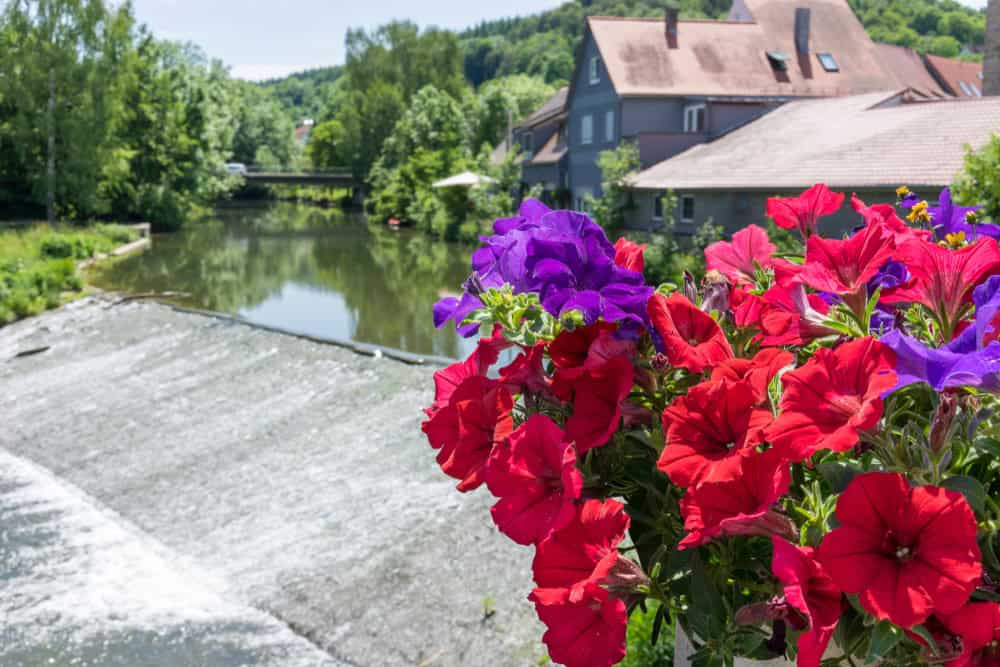 Creglingen an der Tauber