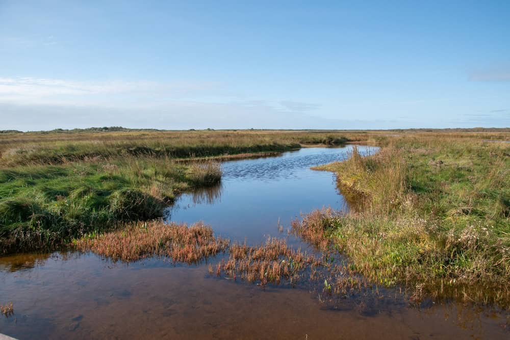 Greune Stee Naturschutzgebiet