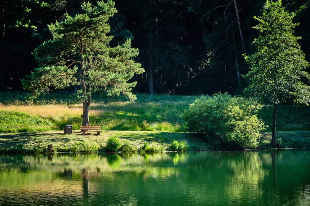 Haseltal im Spessart