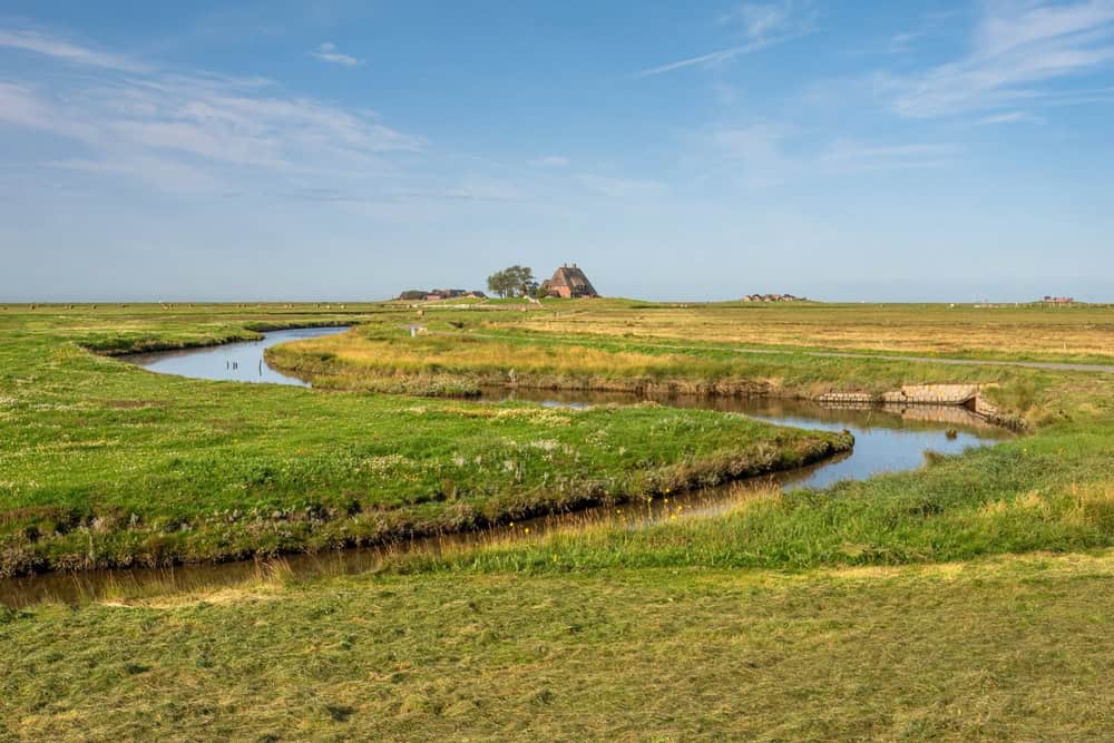 Kirchwarft Hallig Hooge