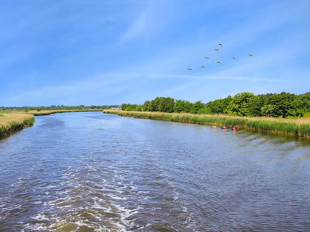 Kranichbeobachtungstour Fischland/Darß/Zingst