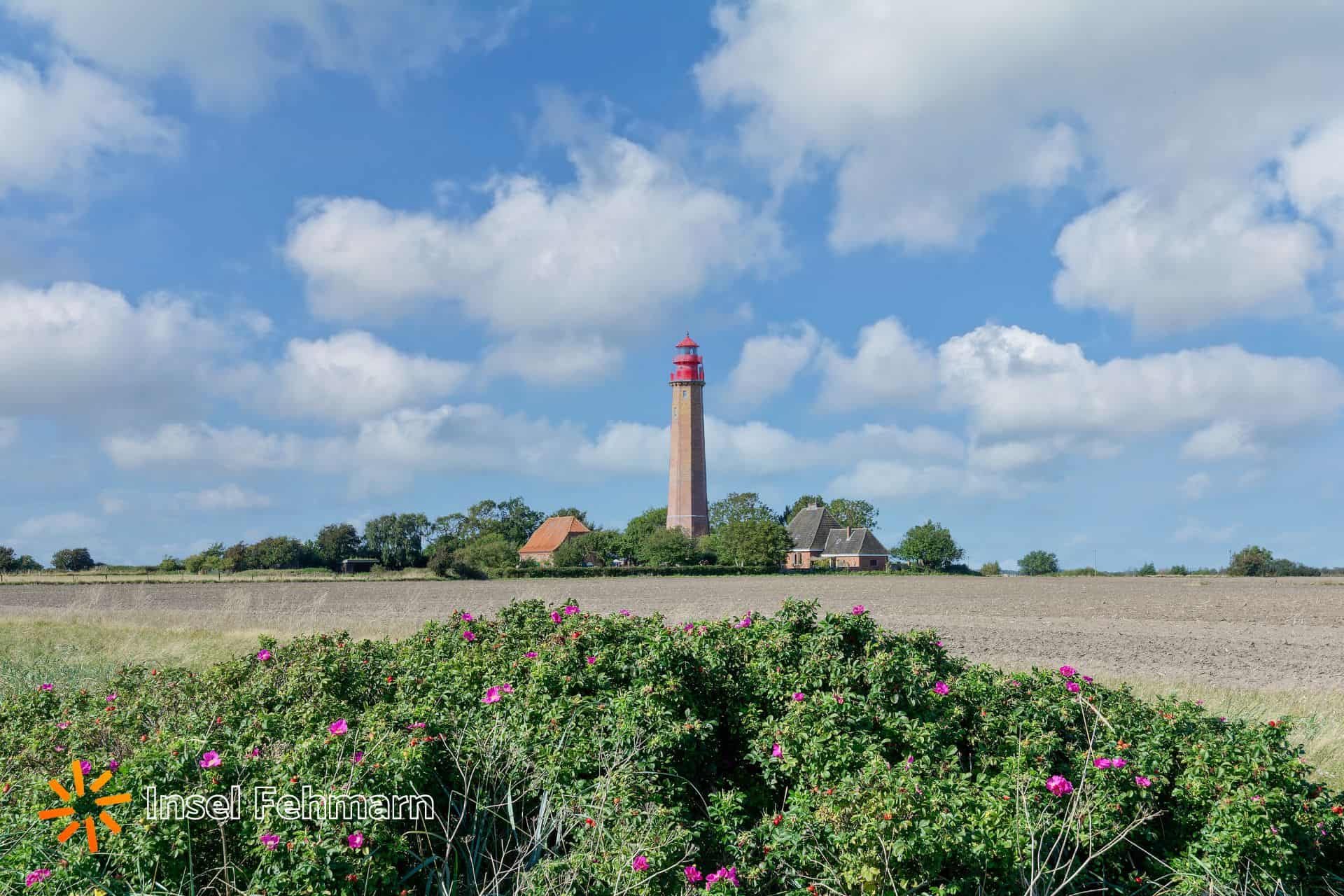 Leuchtturm Flügge auf Fehmarn Ostsee Deutschland