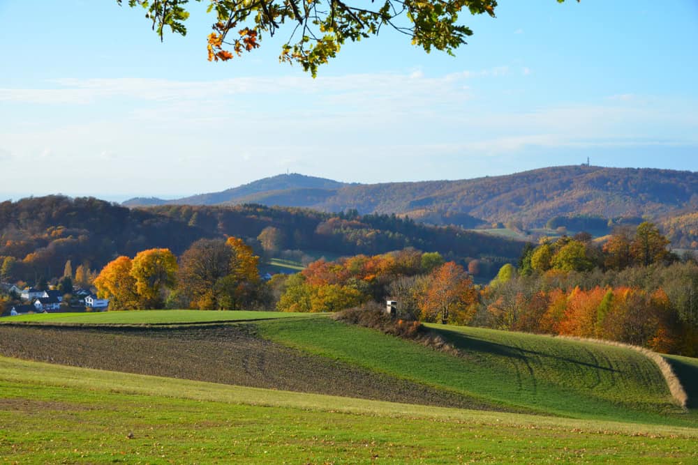 Melibokus Zwingenberg