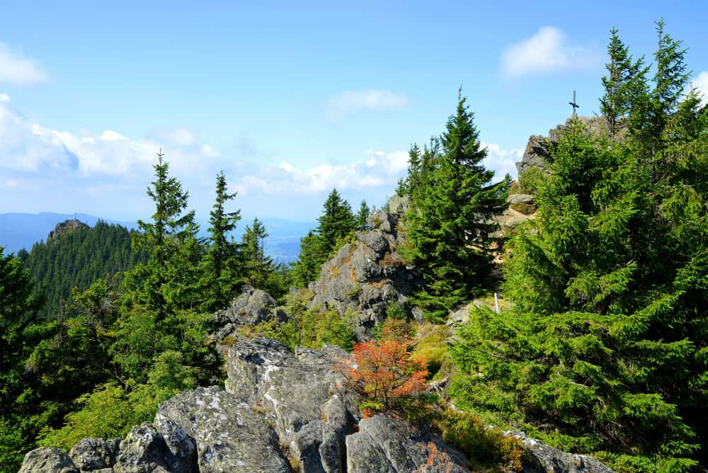 Nationalpark Bayerischer Wald