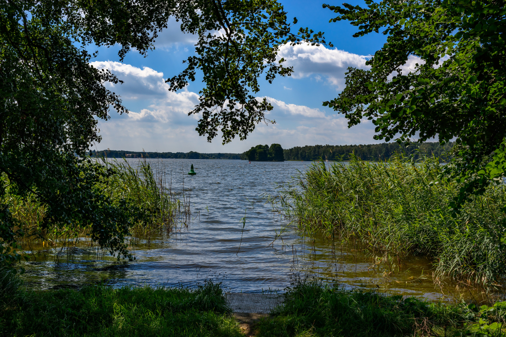 Naturpark Dahme-Heideseen