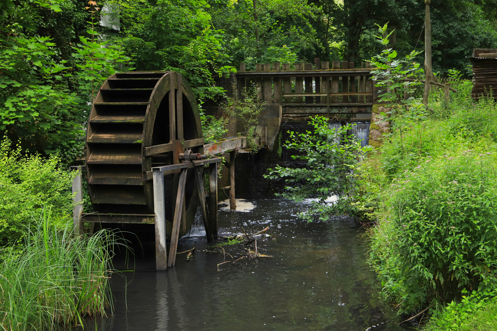 Naturpark Schlaubetal – Waldparadies in Brandenburg