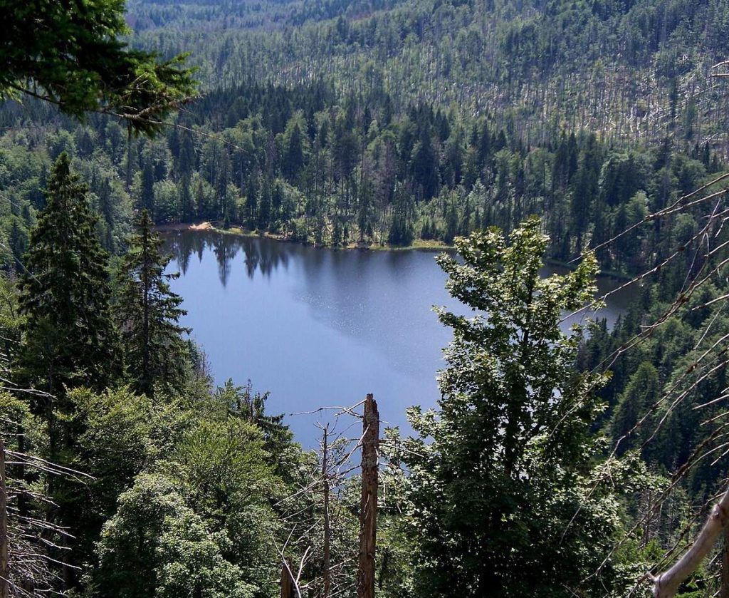 Rachelsee Bayerischer Wald Nationalpark