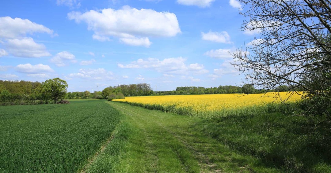 Reiseziele Münsterland