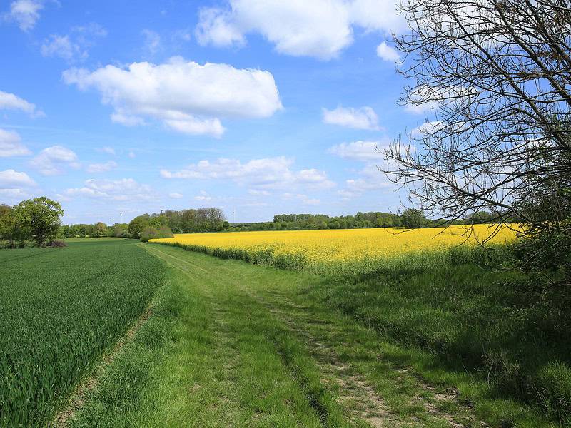 Reiseziele Münsterland