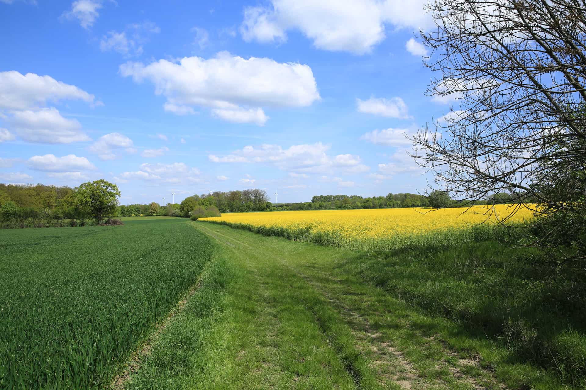 Reiseziele Münsterland