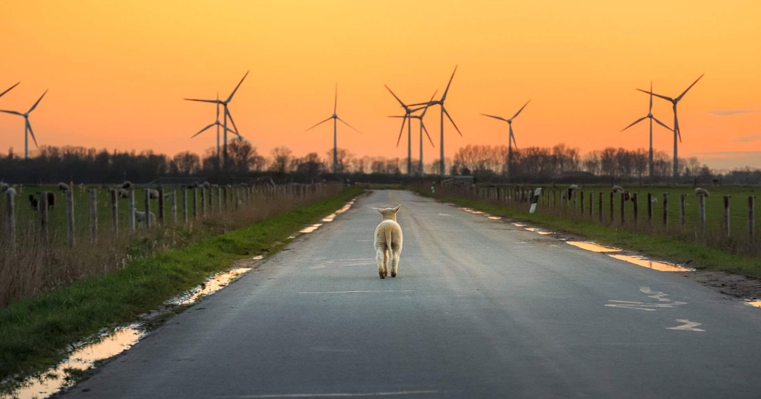 Reiseziele Ostfriesland