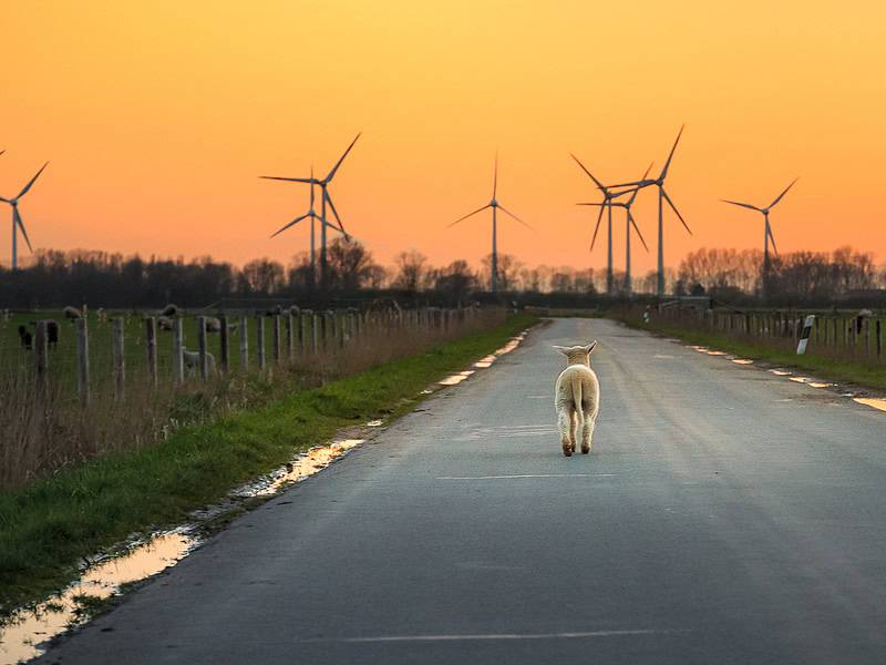 Reiseziele Ostfriesland