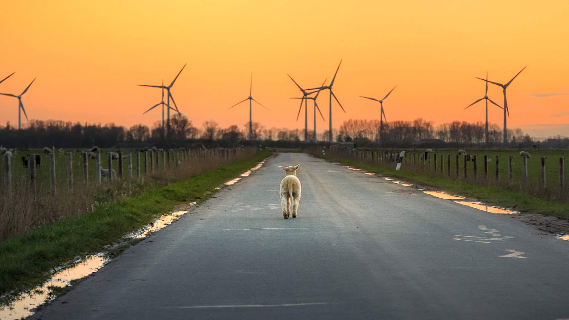 Reiseziele Ostfriesland