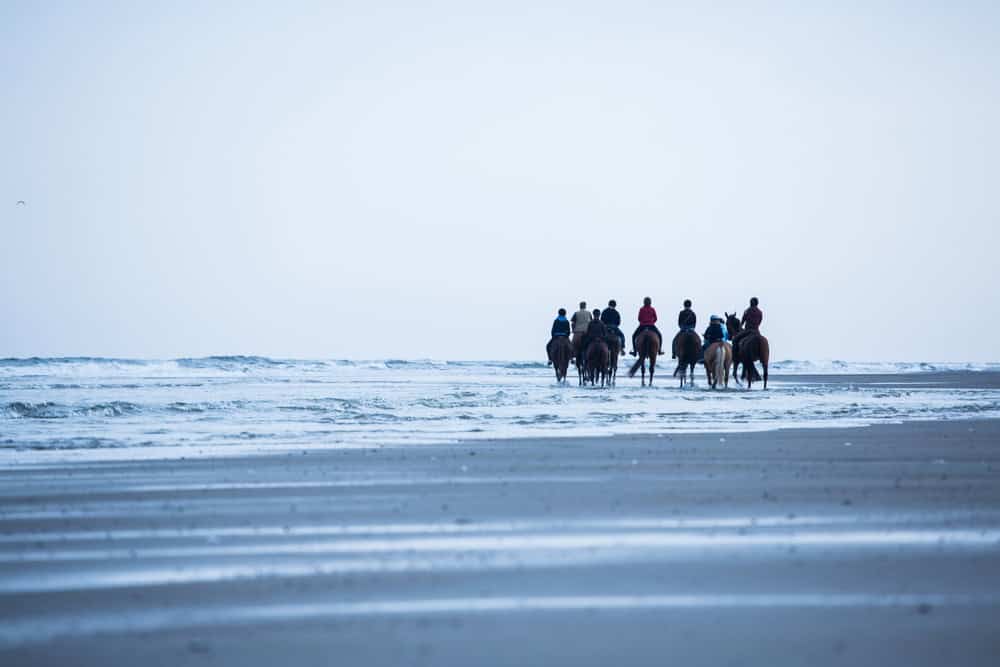 Reiten am Strand auf Norderney