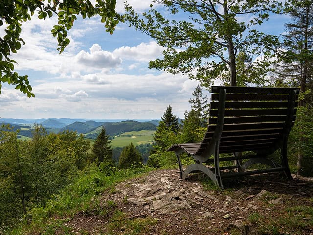 Rothaarsteig Fernwanderweg