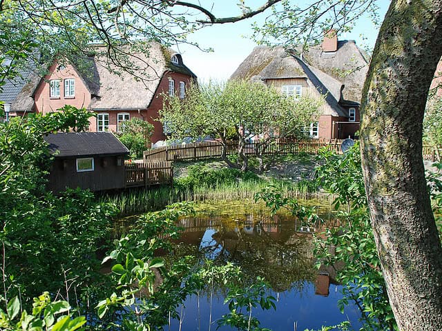 Urlaub auf der Halligen Hooge