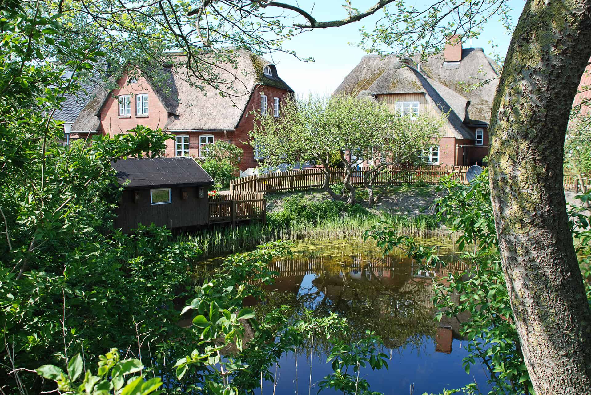 Urlaub auf der Halligen Hooge