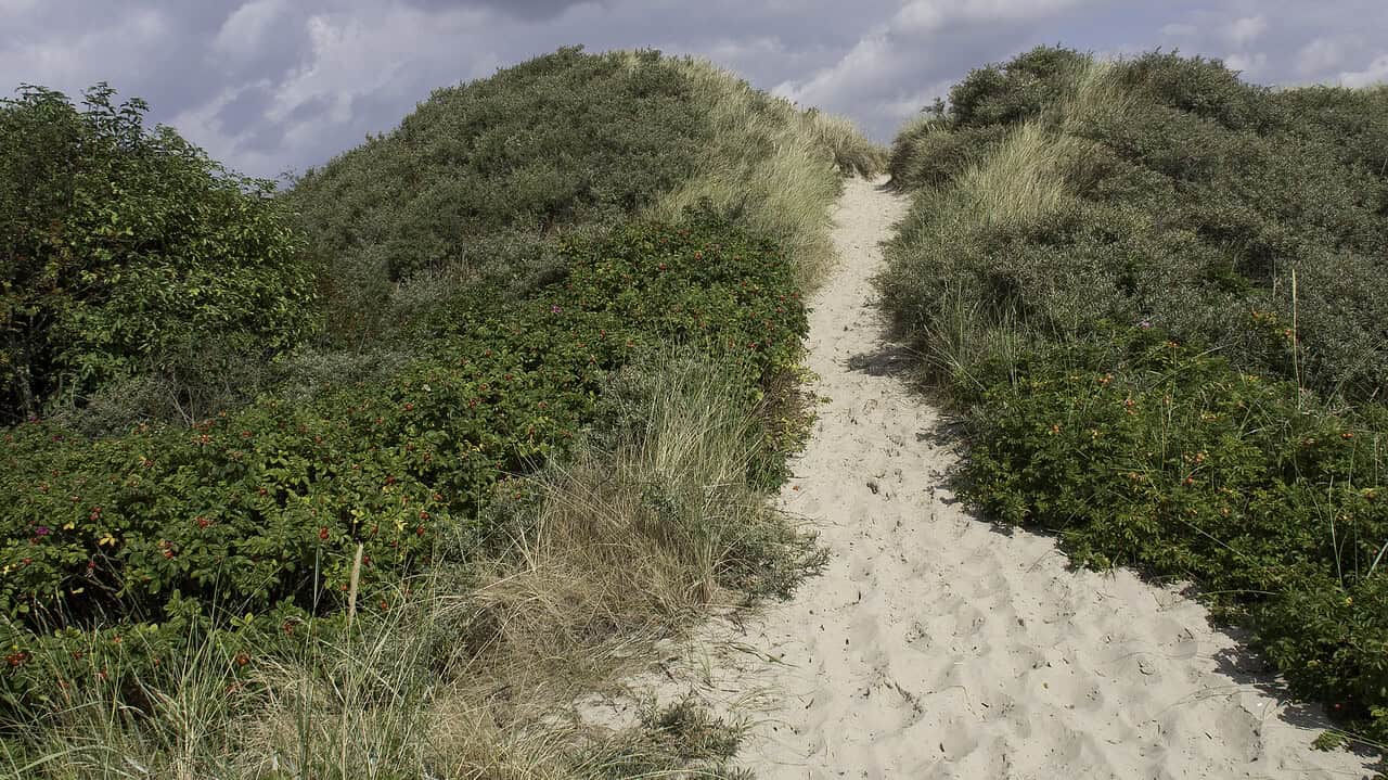 Urlaub auf Spiekeroog