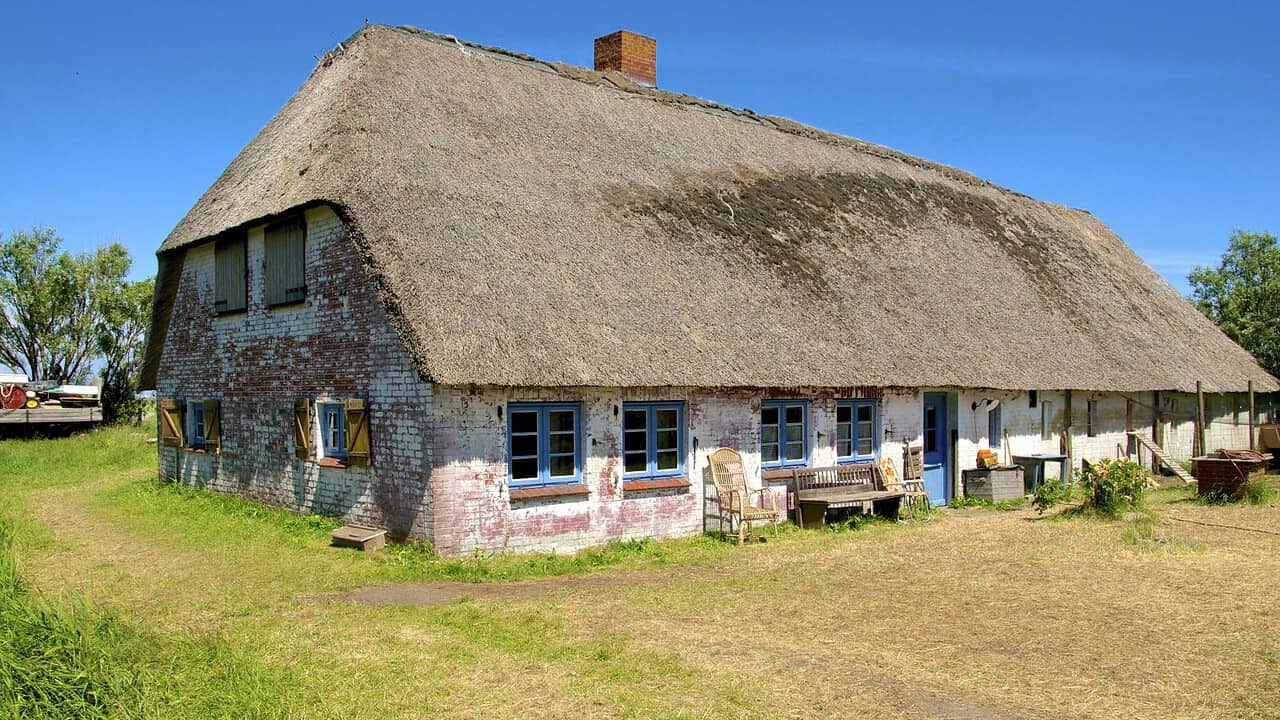 Urlaub auf der Halligen Langeneß