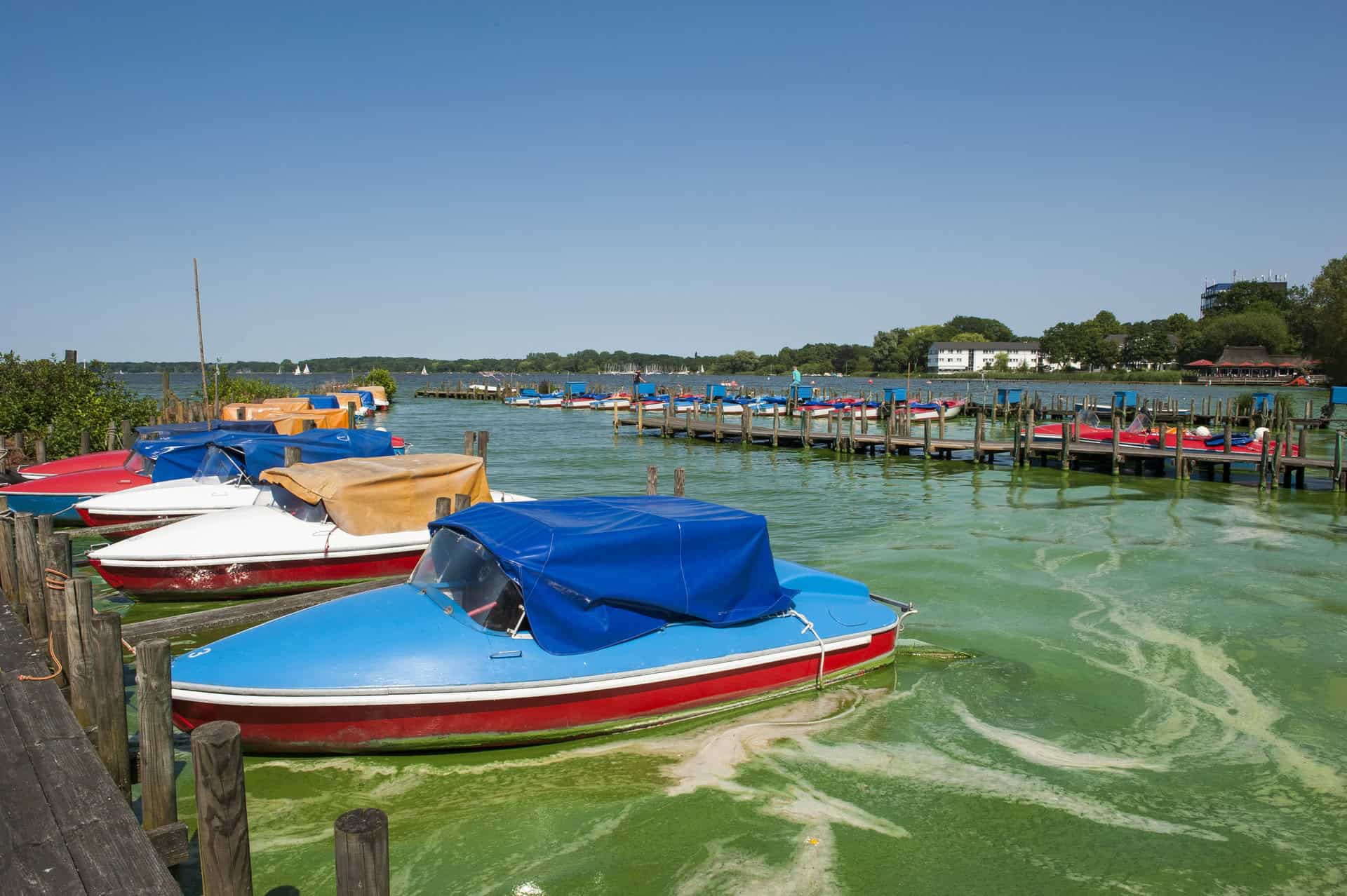 Ostfriesland – Moin! und willkommen an der Nordseeküste