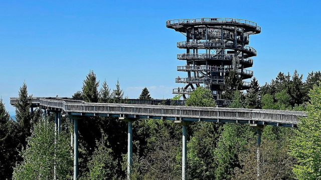 Waldwipfelweg Sankt Englmar